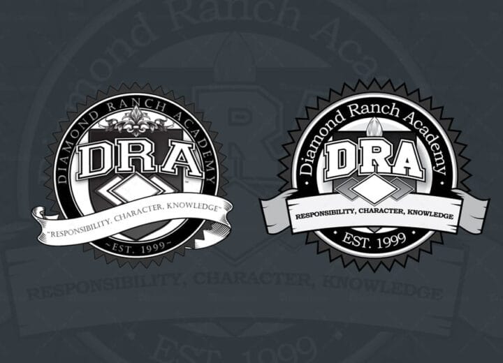 Diamond Ranch Academy Logo - Dane shakespeare
