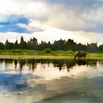 Yellowstone River - Watercolor by Dane Shakespear