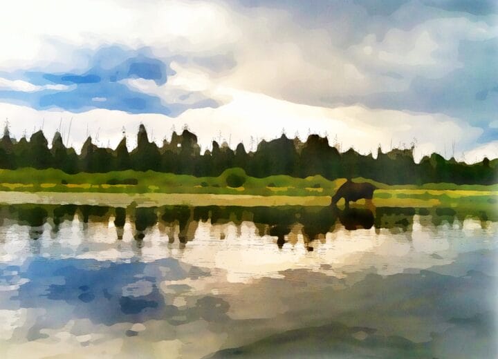 Waterocolor by Dane Shakespeare