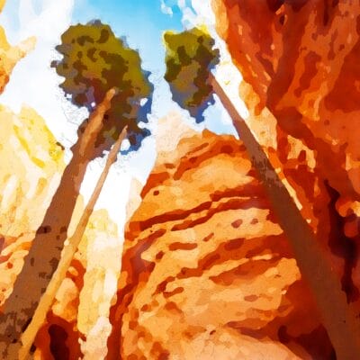Navajo Loop - Watercolor by Dane Shakespear