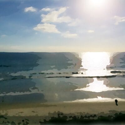Santa Monica Beach - Watercolor by Dane Shaespear